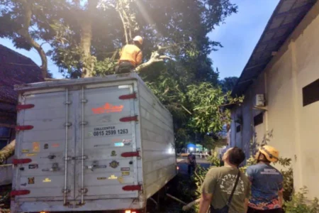 Angin Kencang di Bondowoso, Pohon Tumbang Timpa Truk Box Foto BeritaJatim.com