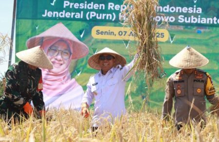 Program Swasembada Pangan, Banyuwangi Panen Raya Padi Serentak Foto BeritaJatim.com