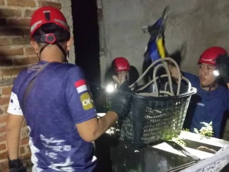 Damkar Pacitan Dua Kali Evakuasi Kucing Tercebur di Sumur Foto BeritaJatim.com