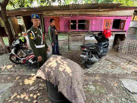 Diduga Jadi Lokasi Judi Sabung Ayam, Warung di Gresik Digerebek Petugas Gabungan Foto BeritaJatim.com