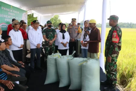Bulog Bojonegoro Bentuk Tim Penyerap Gabah Musim Panen Pertama Foto BeritaJatim.com