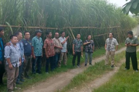 PG Pesantren Baru Kediri Siapkan Bahan Baku Tebu dan Peralatan Sambut Musim Giling 2025 Foto BeritaJatim.com