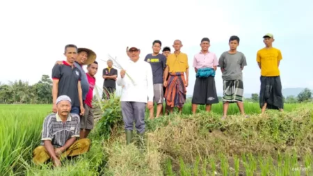 Petani Ajak Wabup Jember Djoko Susanto Berburu Tikus di Sawah Foto BeritaJatim.com