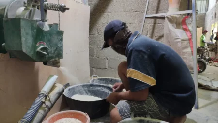 Serapan Bulog Masih Minim, Harga Gabah Rp6.500 Jadi Angin Segar bagi Petani Pacitan Foto BeritaJatim.com