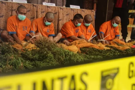 Polres Lumajang Ungkap Alasan 13 Orang Pembawa Bibit Ganja Lereng Semeru Tak Ditahan Foto BeritaJatim.com