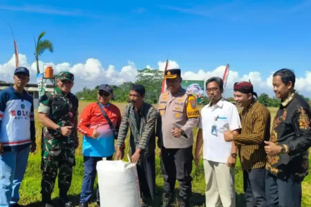 Blitar Jadi Bagian Panen Raya Serentak Presiden Prabowo, Segini Produktivitasnya Foto BeritaJatim.com