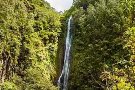 Liburan Seru di Nganjuk 2025! Ini 7 Tempat Wisata yang Lagi Hits Foto BeritaJatim.com