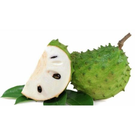 Mengungkap 10 Manfaat Buah Sirsak untuk Kesehatan Tubuh Foto BeritaJatim.com