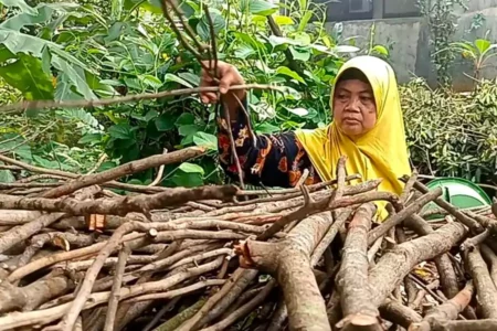 Seminggu Gas LPG Langka, Warga Bangkalan Masak Pakai Tungku Foto BeritaJatim.com