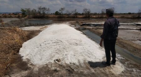 Produksi Garam di Sampang Dimulai, Harga Anjlok Dibanding Tahun Lalu Foto BeritaJatim.com