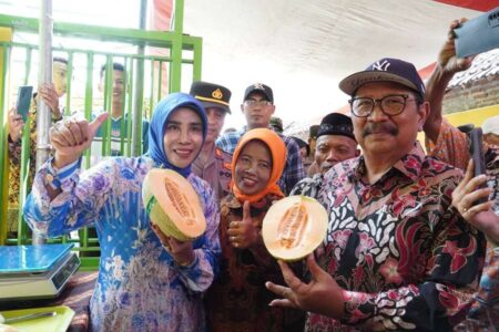 Wabup Sidoarjo Apresiasi Panen Melon Hidroponik Harapkan Pemuda Teransang Bertani Foto BeritaJatim.com