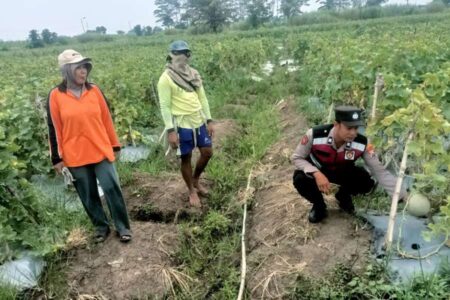 Optimalisasi Ketahanan Pangan Polresta Sidoarjo di Desa Kebakalan Porong Foto BeritaJatim.com