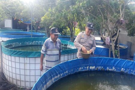 Tinjau Upaya Warga Budidaya Perikanan, Bhabinkamtibmas Berharap Ketahanan Pangan Optimal Foto BeritaJatim.com