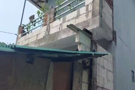 Warga Pasuruan Resah, Monyet Liar Masuki Permukiman dan Naik ke Atap Rumah Foto BeritaJatim.com