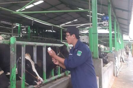 Idul Adha 2025 Pasuruan Gencarkan Vaksinasi: Pemeriksaan Hewan Kurban Diperketat Tanpa Penyekatan Foto BeritaJatim.com