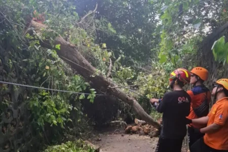 Cuaca Ekstrem, BPBD Sampang Kerja Keras Tangani Tiga Bencana di Jrengik Foto BeritaJatim.com