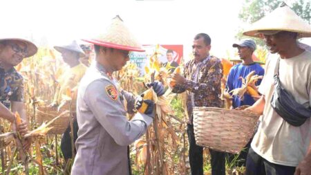 Polres Mojokerto Kota Panen Raya Jagung Tahap II, Dapat 3 Ton dari Lahan 0,7 Hektar Foto BeritaJatim.com