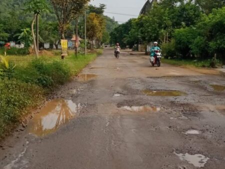 Hampir Separuh Jalan Kabupaten di Pacitan Rusak, Anggaran Perbaikan Terpangkas Drastis Foto BeritaJatim.com