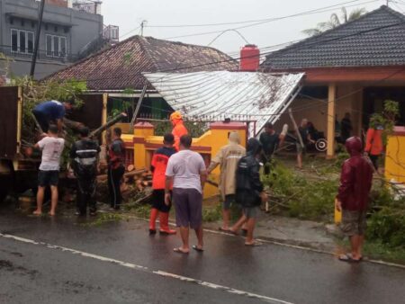 Hujan Deras dan Angin Terjang Pacitan, Pohon Besar Tumbang Timpa Garasi Foto BeritaJatim.com
