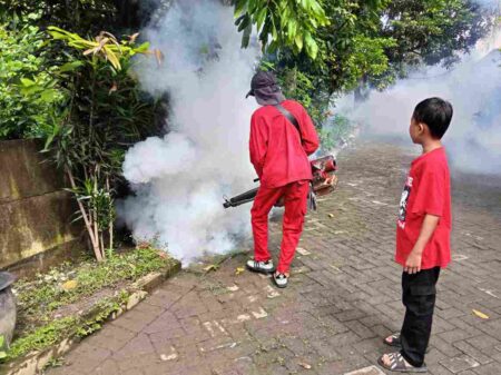 Kasus DBD di Gresik Terus Meningkat, Masyarakat Diimbau Waspada Foto BeritaJatim.com