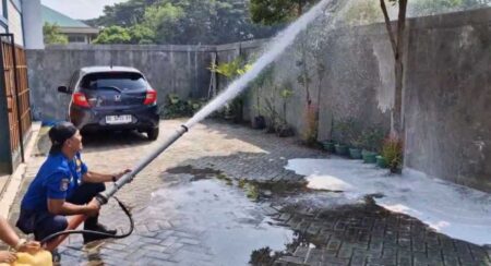 Damkar Ponorogo Musnahkan Sarang Tawon Vespa Pasca Seorang Bocah Jadi Korban Sengatan Foto BeritaJatim.com