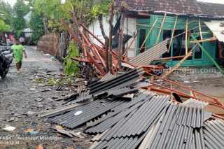 BNPB : Ratusan Warga Terdampak Bencana Angin Kencang di Situbondo Foto BeritaJatim.com