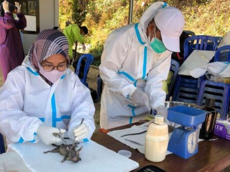 Kasus Leptospirosis di Pacitan Turun, Masyarakat Diimbau Tetap Waspada Foto BeritaJatim.com
