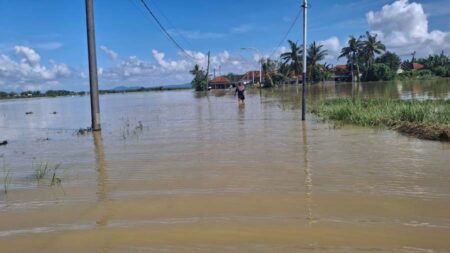 Enam Hektare Sawah di Sumenep Terendam Banjir, Petani Terancam Gagal Panen Foto BeritaJatim.com