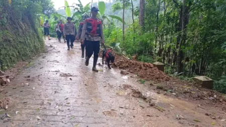 Anjing Pelacak Deteksi Tiga Titik Diduga Terdapat Korban Longsor di Trenggalek Foto BeritaJatim.com