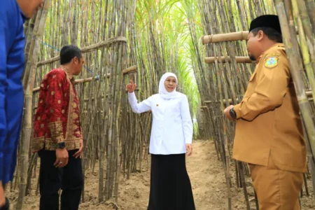 Luncurkan KUR Khusus Petani Tebu Jatim, Khofifah Optimistis Swasembada Gula Nasional Foto BeritaJatim.com