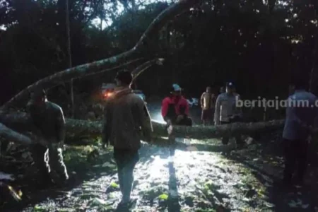 Foto BeritaJatim.com
