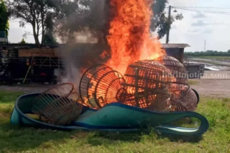 Polsek Krian Sidoarjo Gerebek Lokasi Judi Sabung Ayam, Puluhan Pelaku Kabur Foto BeritaJatim.com