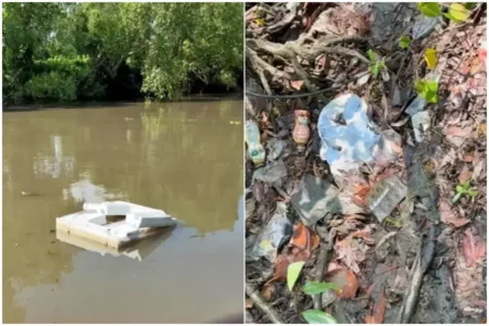 Sampah Plastik Ancam Kelestarian Ekowisata Mangrove Wonorejo Surabaya Foto BeritaJatim.com