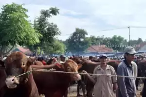 Foto BeritaJatim.com