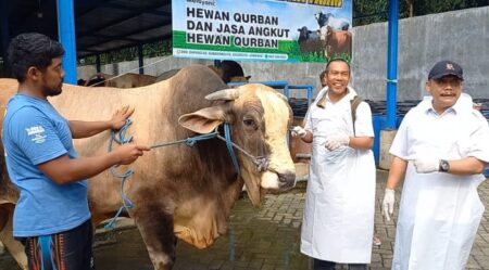 Presiden Prabowo Beli Sapi Kurban seharga Rp86 Juta dari Warga Jombang, Namanya Pedrosa Foto BeritaJatim.com