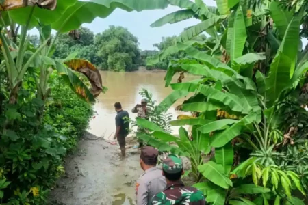Dua Tanggul di Lamongan Tergerus Akibat Debit Air Sungai Meningkat Foto BeritaJatim.com