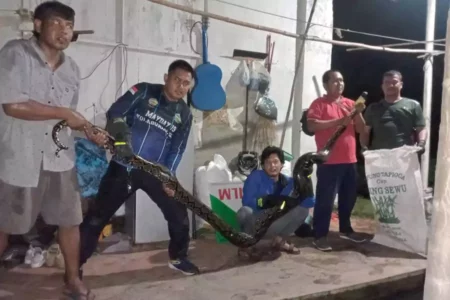 Foto BeritaJatim.com