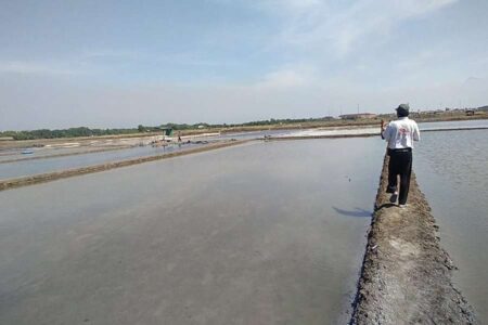 Anomali Cuaca Ganggu Panen Garam di Kota Pasuruan, Petani Masih Lesu di Pertengahan Juli Foto BeritaJatim.com