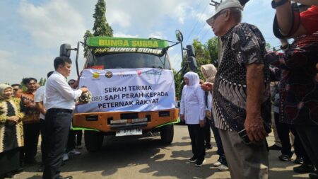 Kolaborasi JAPFA dan Greenfields Percepat Swasembada Susu Nasional, Ratusan Sapi Perah Bunting Distribusikan ke Peternak Jatim Foto BeritaJatim.com