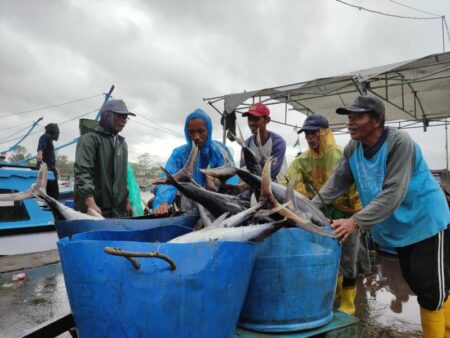 Cuaca Ekstrem, Nelayan Pacitan Tunda Melaut Meski Musim Tuna Foto BeritaJatim.com