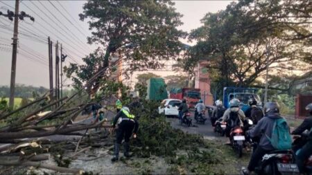 Pohon Tumbang Tutup Jalur Bypass Kedundung Mojokerto Foto BeritaJatim.com
