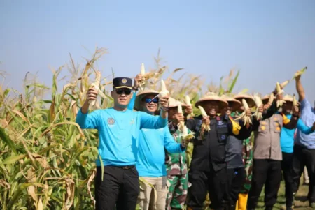 Bukan Sekadar Penjara, Lahan 23,7 Hektar Lapas Bojonegoro Hasilkan Panen Melimpah Foto BeritaJatim.com