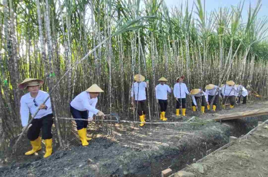 Foto BeritaJatim.com