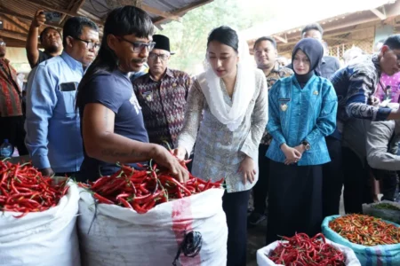 Foto BeritaJatim.com