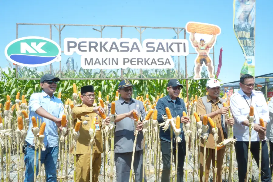 Foto BeritaJatim.com