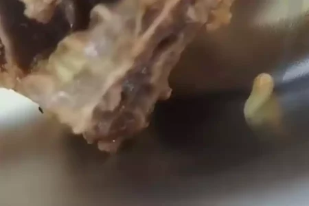 Viral Makanan MBG di Tuban Ada Belatung, Politisi Gerindra Merasa Kecewa Foto BeritaJatim.com