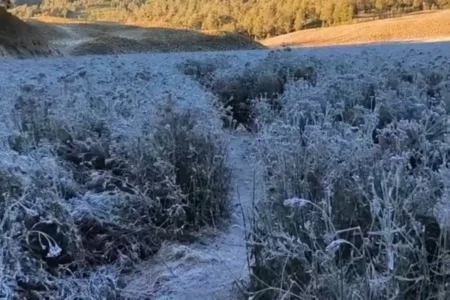 Fenomena Langka, Embun Beku Muncul di Tiga Danau Ikonik Gunung Semeru Lumajang Foto BeritaJatim.com
