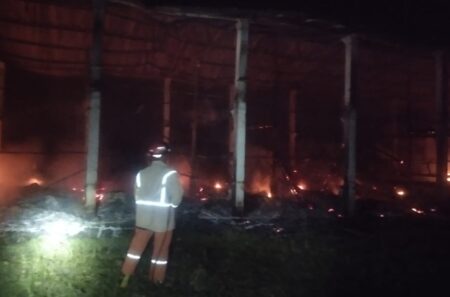 Kebakaran Kandang Ayam di Ngusikan Jombang Hanguskan 10.500 Ekor, Kerugian Capai Rp600 Juta Foto BeritaJatim.com