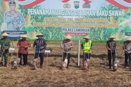Polres Lamongan Gandeng Petani dan Swasta Garap 10 Hektare Lahan Tidur Foto BeritaJatim.com