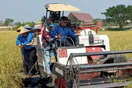 Dorong Kemandirian Warga Binaan, Lapas Lamongan Kembangkan Pertanian dan Perikanan Produktif Foto BeritaJatim.com